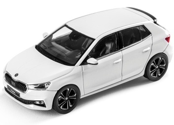 Díky podpoře Plzeňského kraje a Tříkrálové sbírky jsme pořídili nový automobil pro osobní asistenci